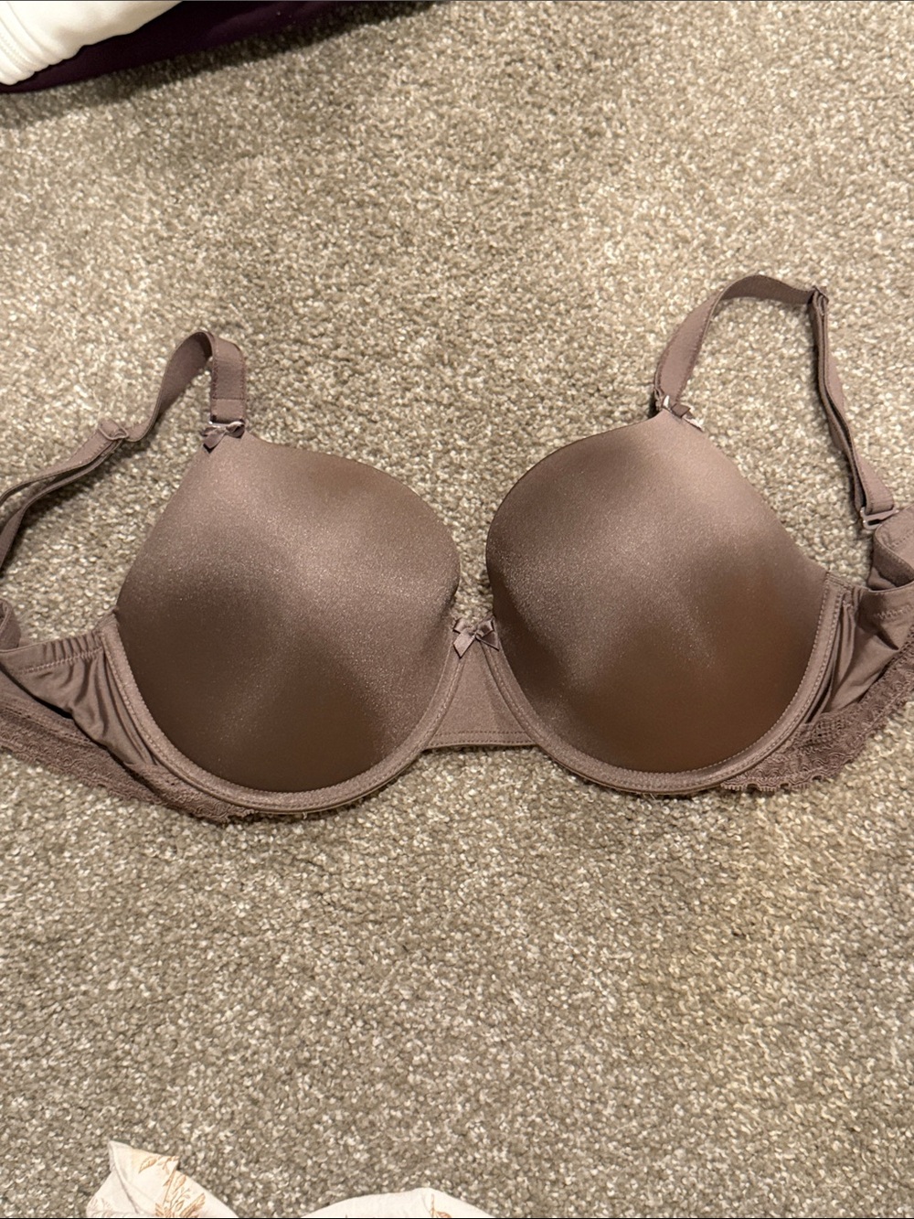 Felina Smooth Molded Bra in Brown